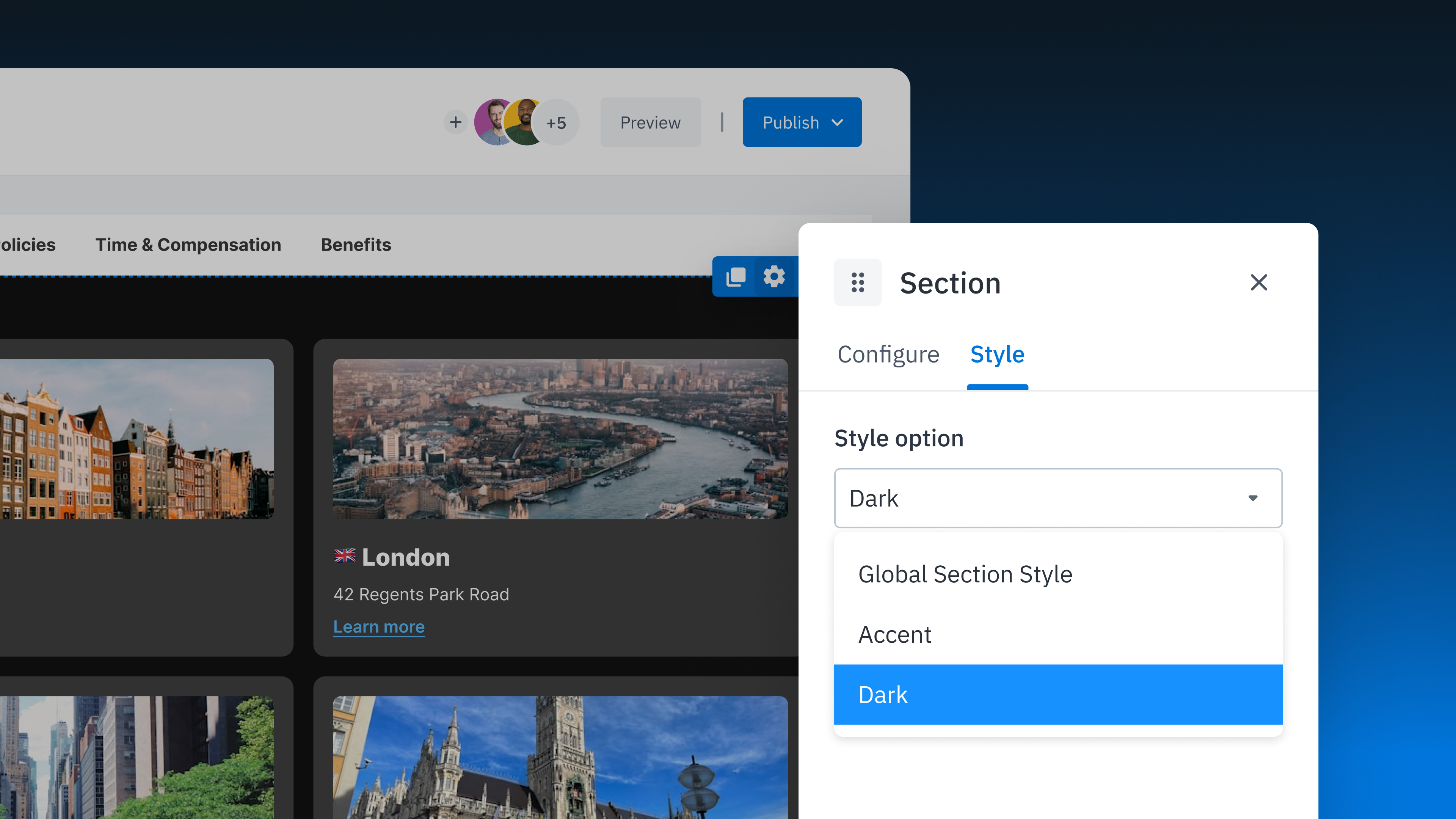 Section Style Options 1.png