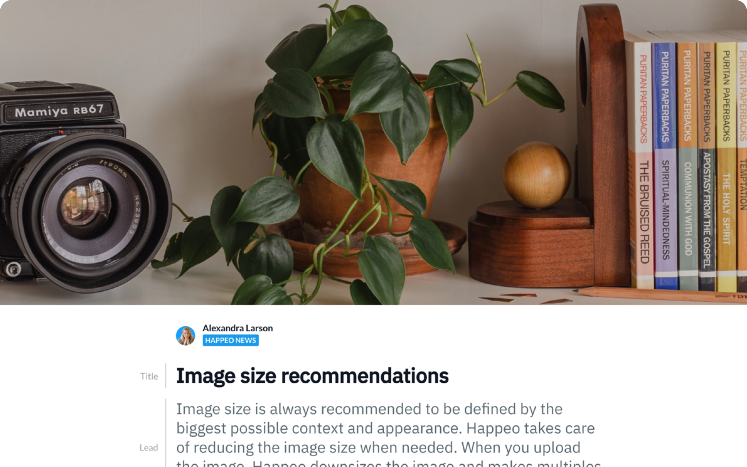 Recommended_Image_Sizes_1.png